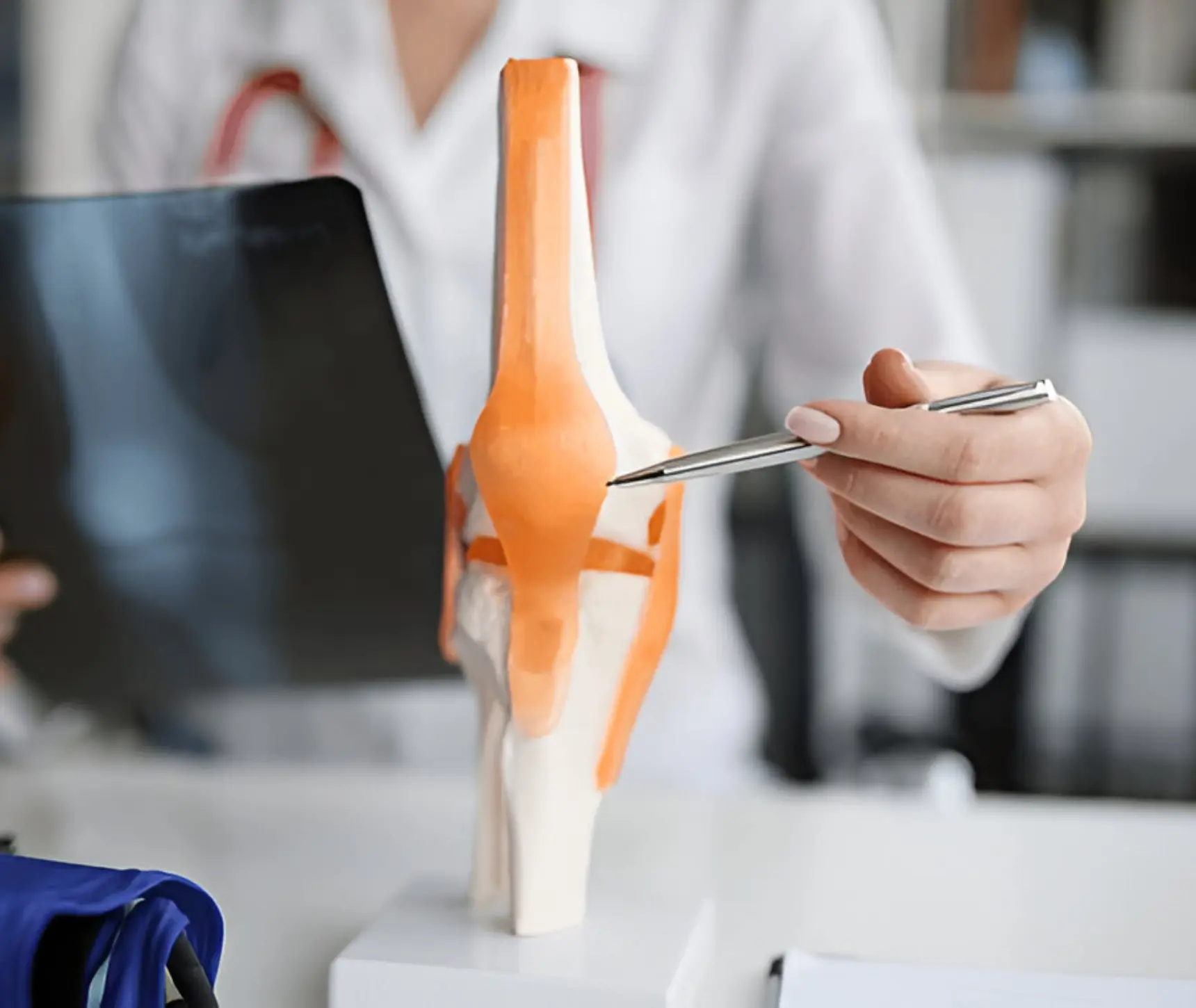 Rheumatology (Joint Pain, Arthritis)